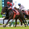 【京都新聞杯2016】予想｜軸馬はユウチェンジで攻める！