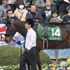 【神戸新聞杯2018予想｜１週前展望】注目は前走良い競馬をしたあの馬！先週の重賞回顧も。