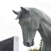 【小倉記念2018】最終予想｜土曜の馬場傾向を踏まえて「あの馬」を本命に！
