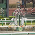 【天皇賞秋2018予想|人気馬分析】非常にハイレベルな一戦を制するのはどの馬なのか?