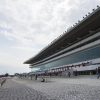 【オークス2019】人気馬予想｜東京芝2400mで最も信頼できるのはどの馬なのか？