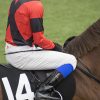 【日経新春杯2020】人気馬予想｜混戦のハンデ戦で狙えるのはどの馬？