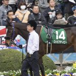 【チューリップ賞2019】人気馬分析予想｜阪神ＪＦ組に勝てる馬はいるのか？